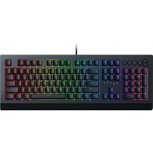 Razer RZ03-03401300-R3L1 Cynosa V2 Chroma Membran Tr Klavye