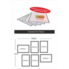 Dekor Sevgisi 6 Parça Çerçe Görünümlü  Kahverengi Tonlu Tüy Yaprak Pvc Tablo Seti