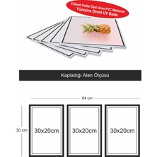 Dekor Sevgisi 3 Parça Çerçeve Görünümlü Siyah Gri Pembe Pvc Tablo Seti
