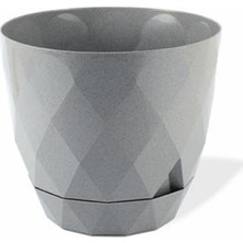 Karasu Yakamoz Saksı No : 1