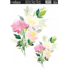 Cadence Ktsb 016
