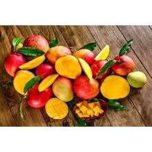 Trofco Mango Konservesi 425 gr