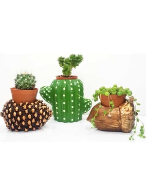 Mobgift Özel El Yapımı 3'lü Set Fındık + Kozalak + Kaktüs Tasarım Saksılar