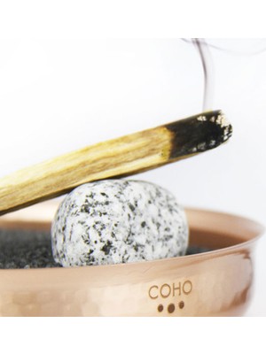 Coho Objet Natural Palo Santo Tütsü Ağacı