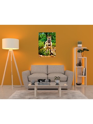 Dekorbi Blok Tablo | Donkey 48×69
