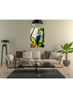 Dekorbi Blok Tablo | Parrot 48×69