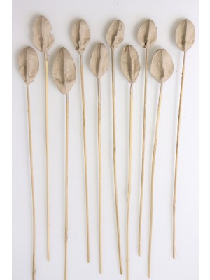 Yapay Çiçek Deposu Kum Rengi 10LU Tropic Lily Aksesuar 50 cm Uzunlukta Doğal Görünüm