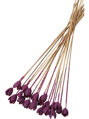 Yapay Çiçek Deposu 20LI Bakuli On Steam Retro Erguvan