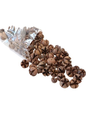 Yapay Çiçek Deposu Tropik Mini Süsleme Eucalyptus Pod 100GR