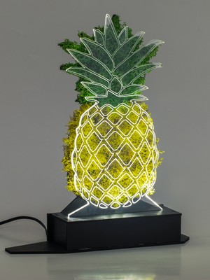 Benta Design 3D Ananas Şoklanmış Yosun 3 Boyutlu Dekoratif LED Masa