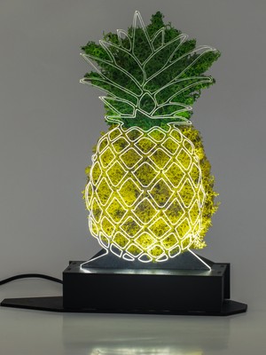 Benta Design 3D Ananas Şoklanmış Yosun 3 Boyutlu Dekoratif LED Masa