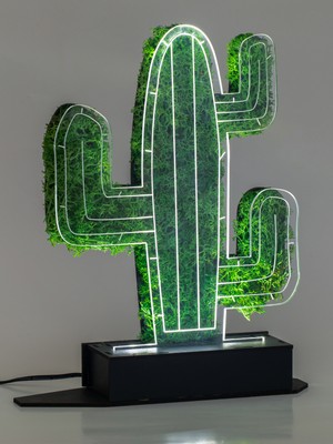 Benta Design 3D Kaktüs Euphorbia Şoklanmış Yosun 3 Boyutlu Dekoratif LED Masa