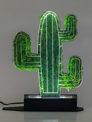 Benta Design 3D Kaktüs Euphorbia Şoklanmış Yosun 3 Boyutlu Dekoratif LED Masa