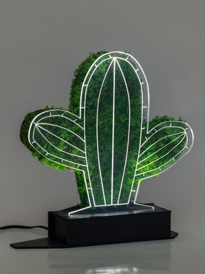 Benta Design 3D Kaktüs Pilosocereus Şoklanmış Yosun 3 Boyutlu Dekoratif LED Masa