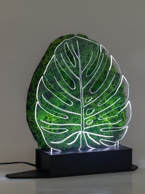 Benta Design 3D Monstera Devetabanı Şoklanmış Yosun 3 Boyutlu Dekoratif LED Masa