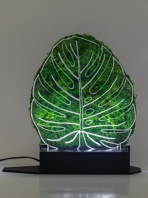 Benta Design 3D Monstera Devetabanı Şoklanmış Yosun 3 Boyutlu Dekoratif LED Masa