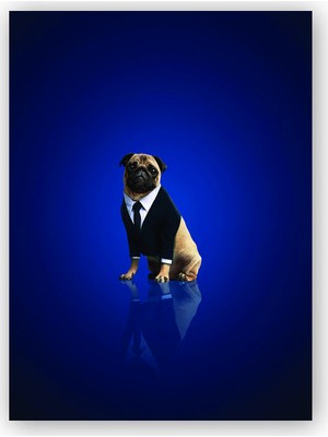 Caka Tablo   Ahşap Tablo Mıb International Frank The Pug