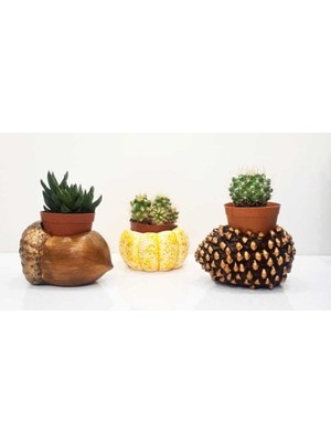Mobgift Özel El Yapımı 3'lü Set Fındık + Kozalak + Kabak Tasarım Saksılar