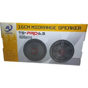 Ts-Pro6.5 16 cm Midrance 450W Oto Hoparlör