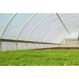 36 Aylık 350 Mikron Sera Naylonu  10 m x 12 m