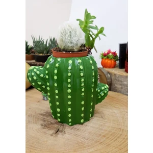 Kaktüs ve Succulentler Için El Yapımı Kaktüs Tasarım Minnoş Saksı