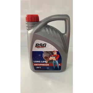 Bsg Antifriz -56 Derece 3 lt