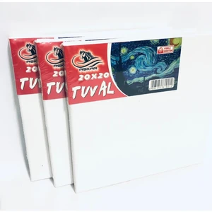 20 x 20 cm Tuval - 3'lü