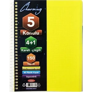 4 Kareli + 1 Çizgili Ayraçlı Defter B5 150 Yaprak