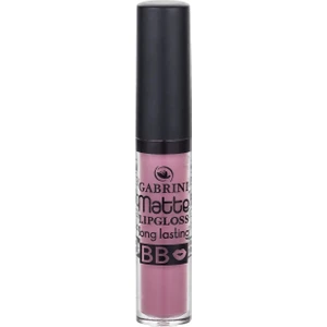 Matte Lipgloss 17