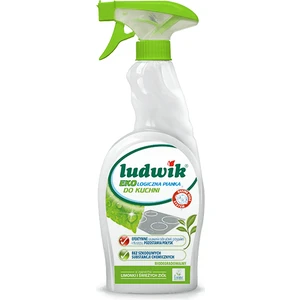 Ekolojik Mutfak Temizleme Köpüğü 750 ml