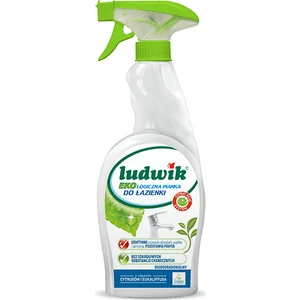 Ekolojik Banyo Temizleme Köpüğü 750 ml