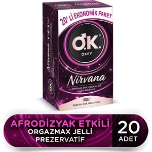 Nirvana 20'li