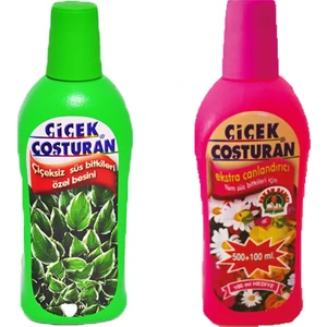 Çiçek Coşturan Çiçek Costuran Extra Canlandırıcı + Çiçeksiz Süs Bitkileri 2'li Set
