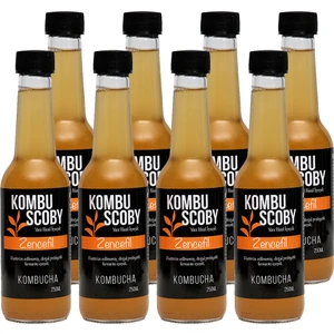 Kombu Scoby Kombucha Zencefil - Kombu Çayı 8 Adet x 250 ml