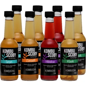 Kombu Scoby Kombucha Karışık - Kombu Çayı 8 Adet x 250 ml