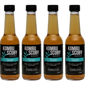 Kombu Scoby Kombucha Tarçın - Kombu Çayı 4 Adet x 250 ml