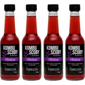 Kombu Scoby Kombucha Hibiskus Yeni Nesil İçecek 4 Adet x 250 ml