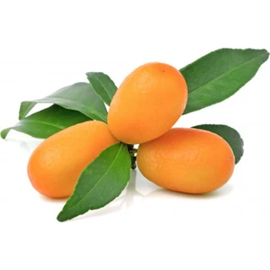 Kumkuat (Kamkat) Aydıncık Mersin 1 kg