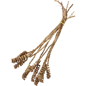 Yapay Çiçek Deposu 10LU Tropik Shany Springs 45 cm