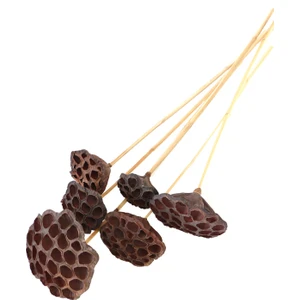 Yapay Çiçek Deposu Succulent Lotus Plant  Lotus Çiçeği Bambu Saplı 6 Adet