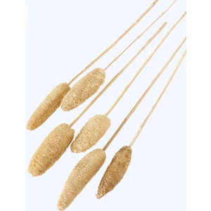 Yapay Çiçek Deposu Tropikal Tropic Luffa Kuru Çiçek Bambu Saplı 6 Adet