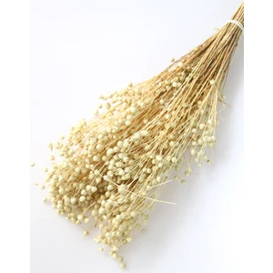 Yapay Çiçek Deposu Kuru Çiçek Luna Keten Otu 60GR Beyaz