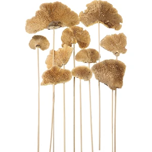 Yapay Çiçek Deposu 10LU Kuru Sponge Mushroom On Stem 45 cm