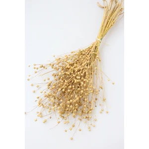 Yapay Çiçek Deposu Kuru Çiçek Luna Keten Otu 60GR Naturel