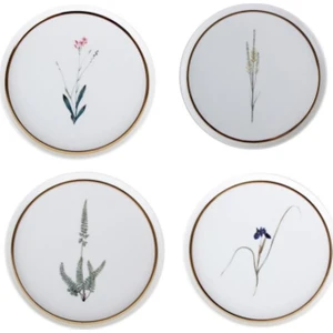 Botanical Pasta Tabağı 4 Parça 21 cm