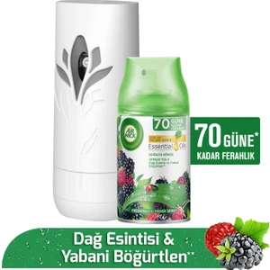 Air Wick Oda Kokusu Freshmatic Kit Orman Yolu