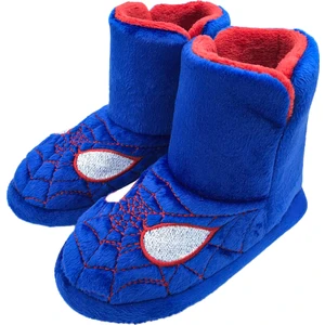 Little Spider Çocuk Ev Botu
