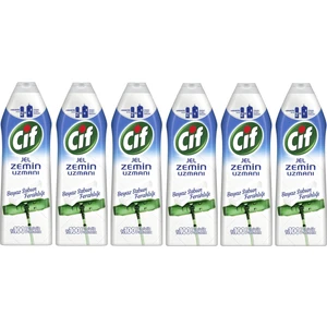 Jel Zemin Uzmanı Beyaz Sabun Ferahlığı 750 ml 6'lı Set