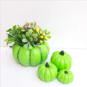 Bal Kabağı Saksı Seti