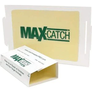 Maxcatch 10'lu Zehirsiz Fare Yapışkan Plaka Beyaz